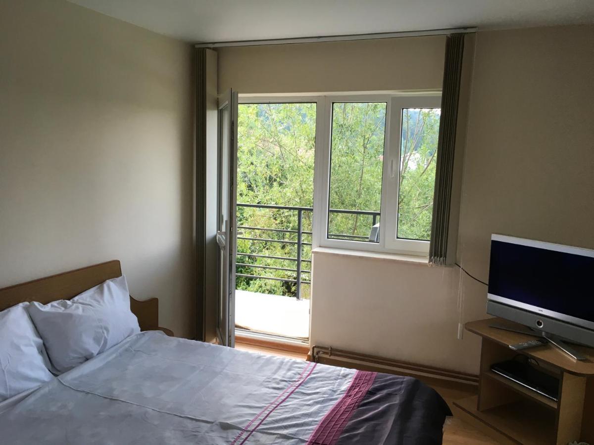Apartmán Casa Pelerinului Capatineni-Paminteni Exteriér fotografie