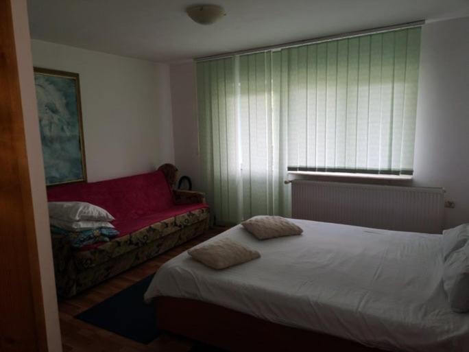 Apartmán Casa Pelerinului Capatineni-Paminteni Exteriér fotografie